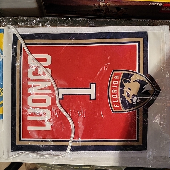 NHL Florida Panthers #1 Roberto Luongo Jersey Retirement Souvenir Banner NEW - Picture 2 of 2